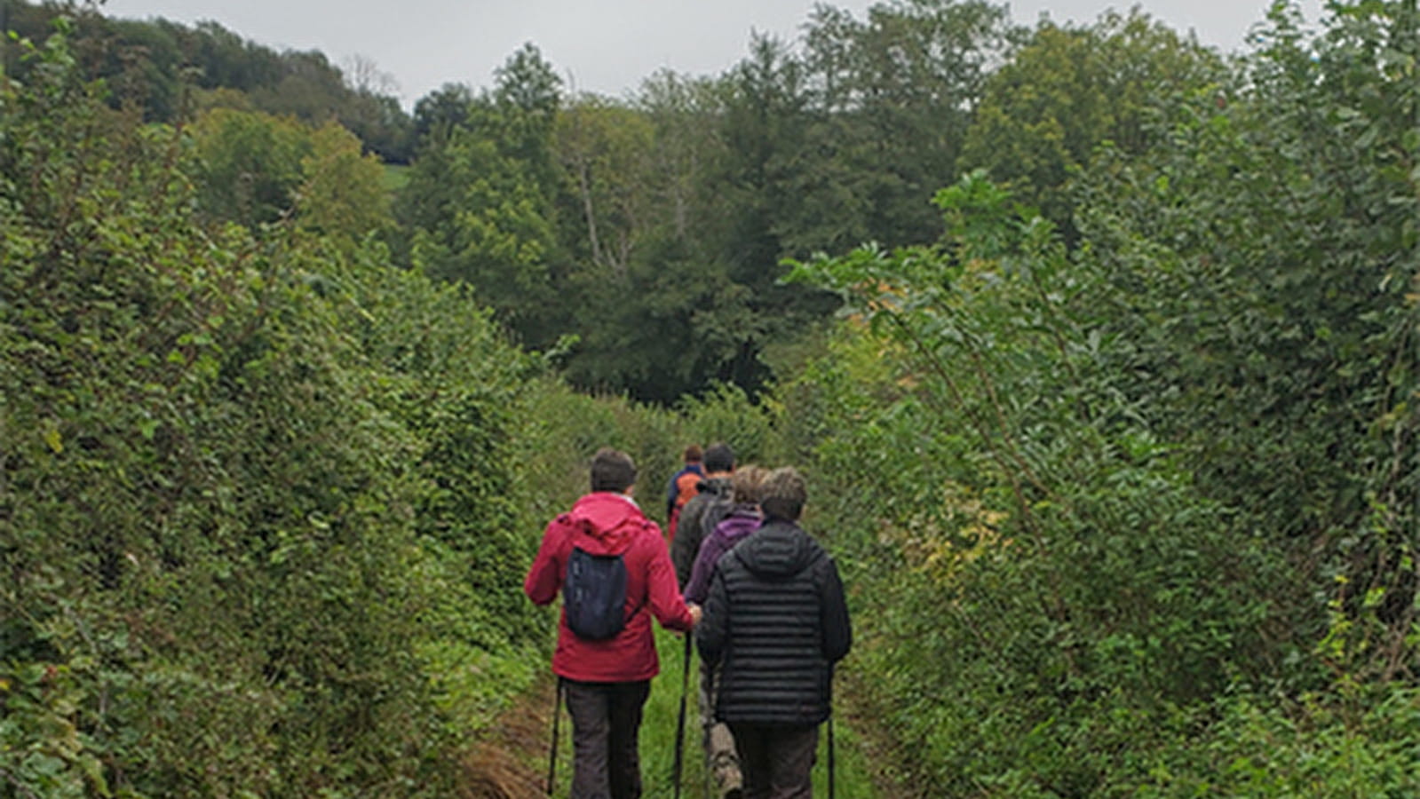 Marche du Terroir